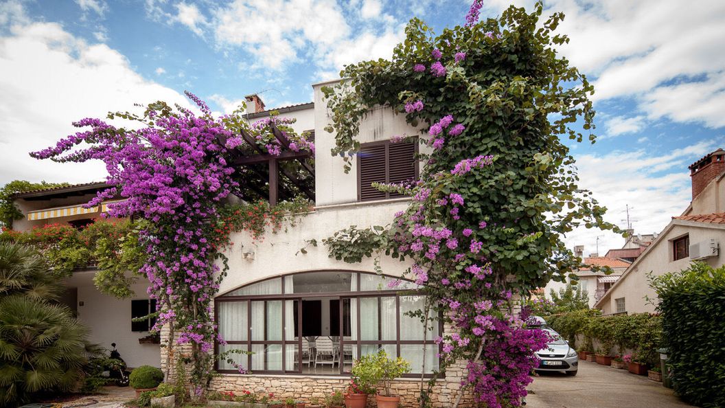 Apartments Nadia Rovinj (1)