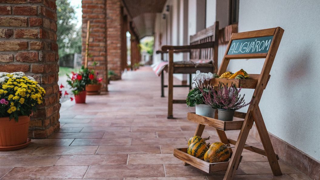 Aligvárom Vendégház Vizsoly (1)