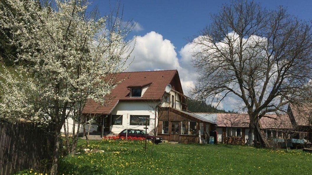 Casa de oaspeți Karácsony Izvorul Trotușului (1)