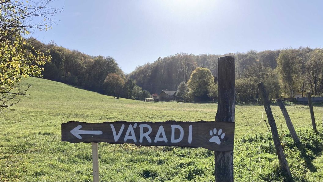 Váradi Vendégház Mánfa (1)