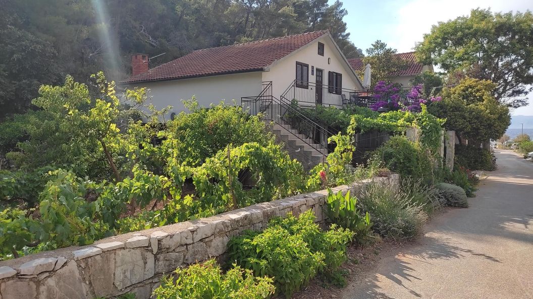 Apartmanok A Tenger Mellett Öböl Vela Stiniva, Hvar - 19951 Vela Stiniva (1)