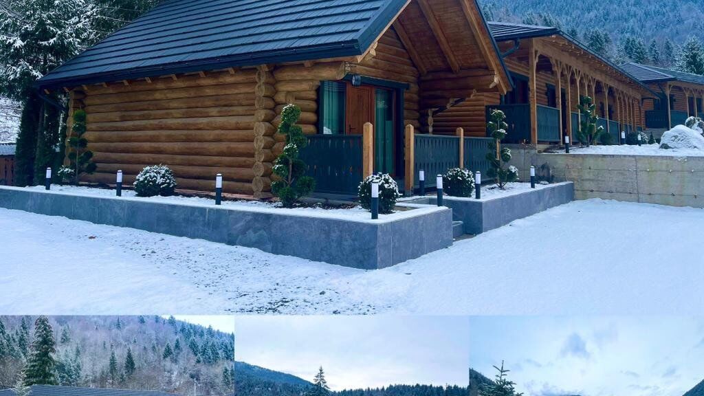 Woodville Resort Moisei (1)