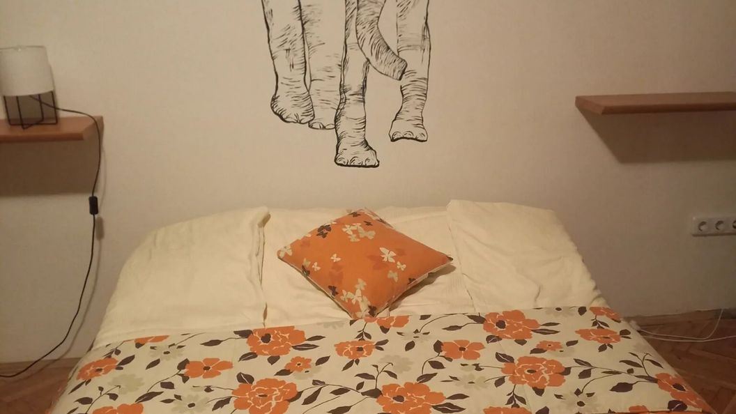 Elefántos Apartman Kaposvár (1)