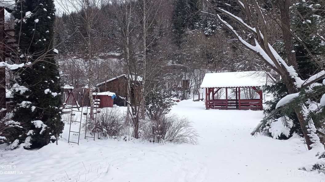 Cabana Bálint Vărșag (1)