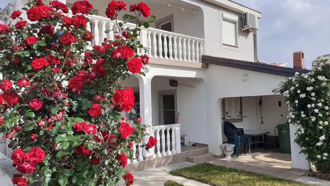 Apartmani Tihana Vir (1)