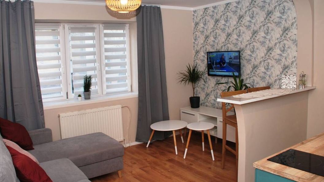 Apartament Aloha Bytom (1)