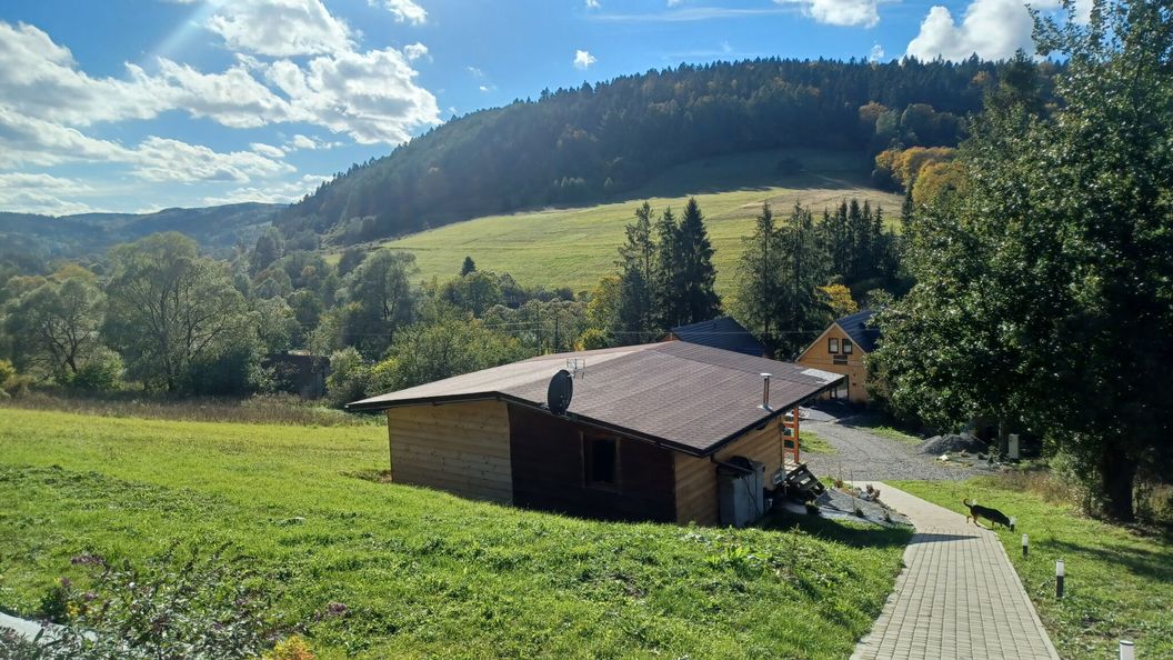 Leśny Dzban Bieszczady / Komańcza (1)