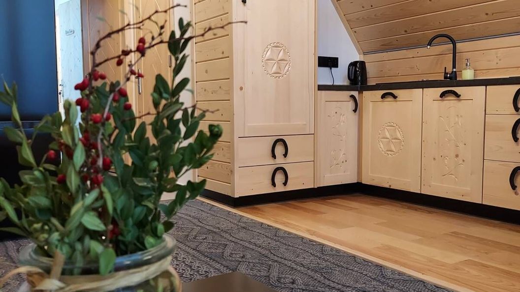 Apartamenty - Droga do Walczaków 37a Zakopane (1)