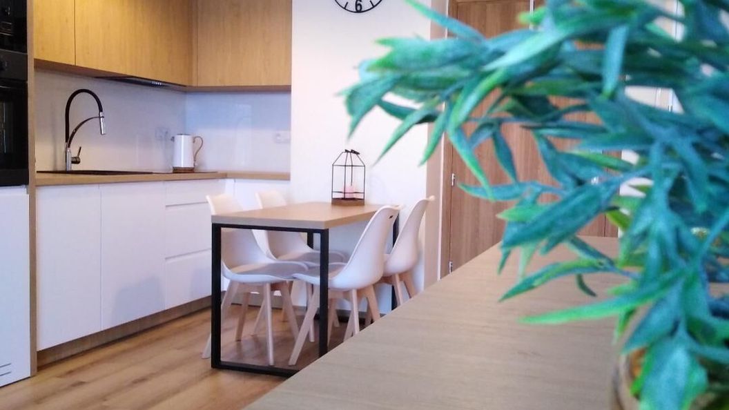 Apartament Premium 72 Zator (1)