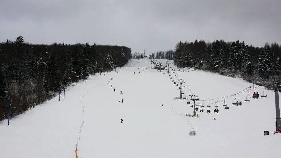 Villa Neve Ustrzyki Dolne (1)