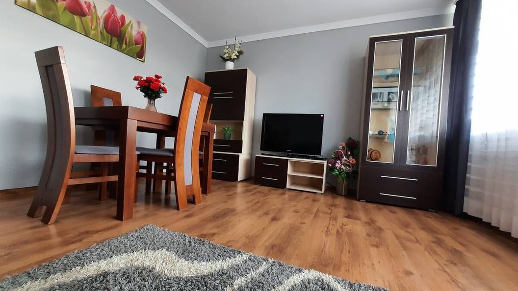 Słoneczny Apartament w Busku- Zdroju Busko-Zdrój (1)