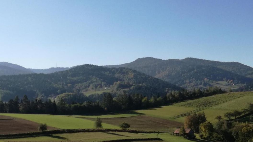 RYVILLA Dom na Wilkówce Dom całoroczny Gaboń (1)