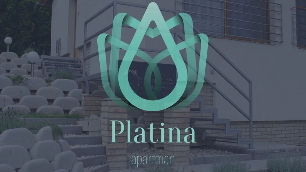 Platina Apartman Orfű (1)