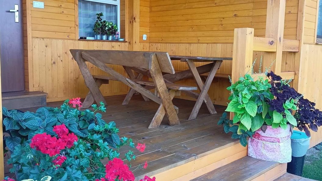 Brzozowy Gaj Orzechów Kolonia (1)