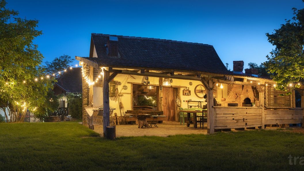 Conacu' Iancu Ginta (1)