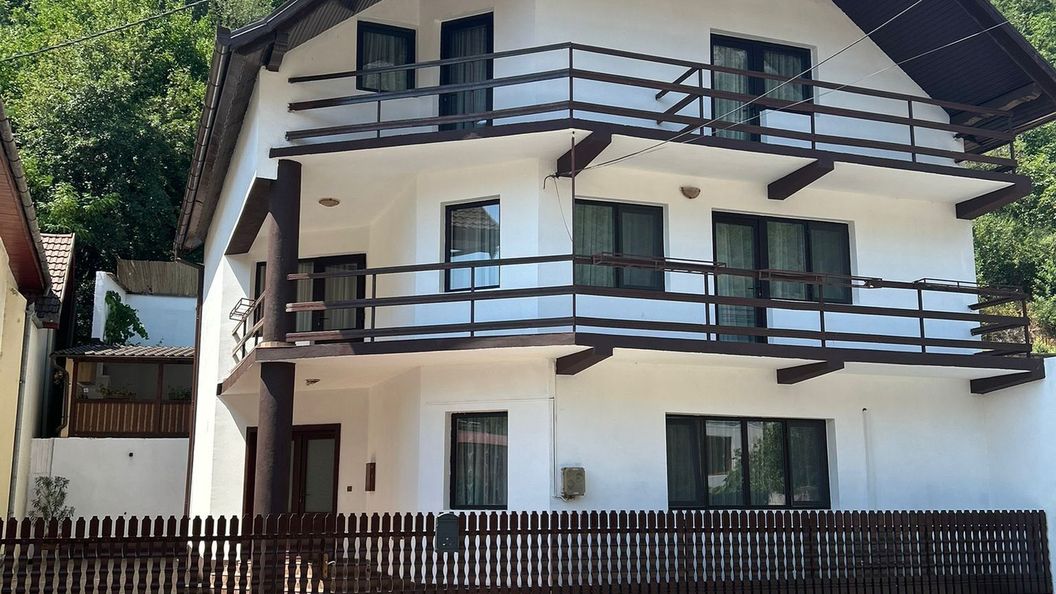 Casa Bașu Băile Herculane (1)