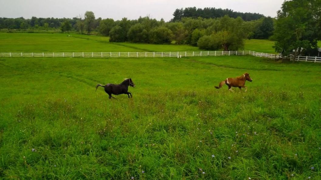 W Łęgu Natury Nur (1)