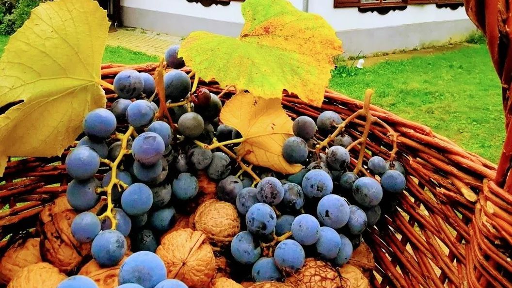 Őrség Kincse Vendégház Hegyhátszentjakab (1)