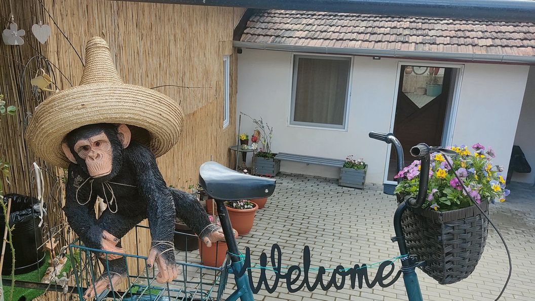 Smile Apartments Sighișoara (1)