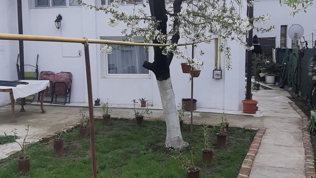 Casa Bia Craiova (1)