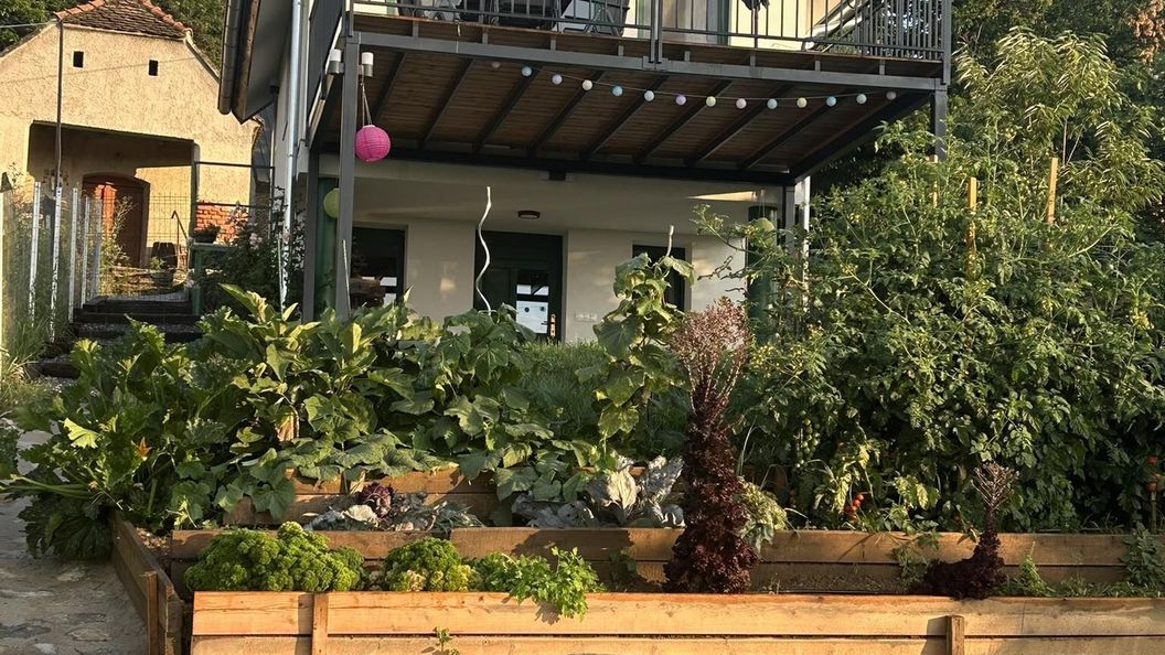 Zöld Paradicsom Vendégház Kőszegszerdahely (1)