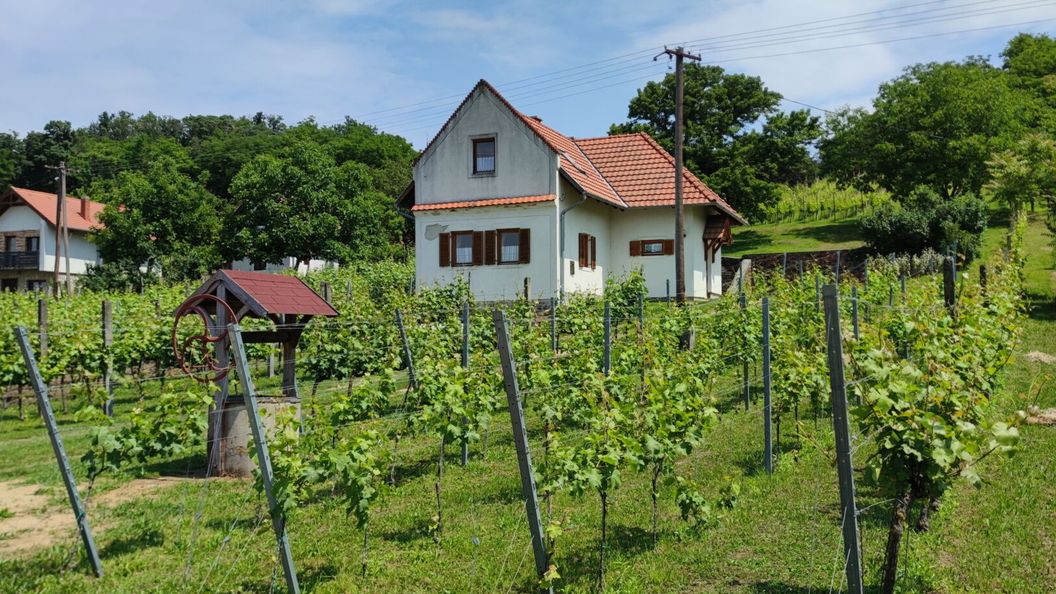 Mórocz Ház Nemesgulács (1)