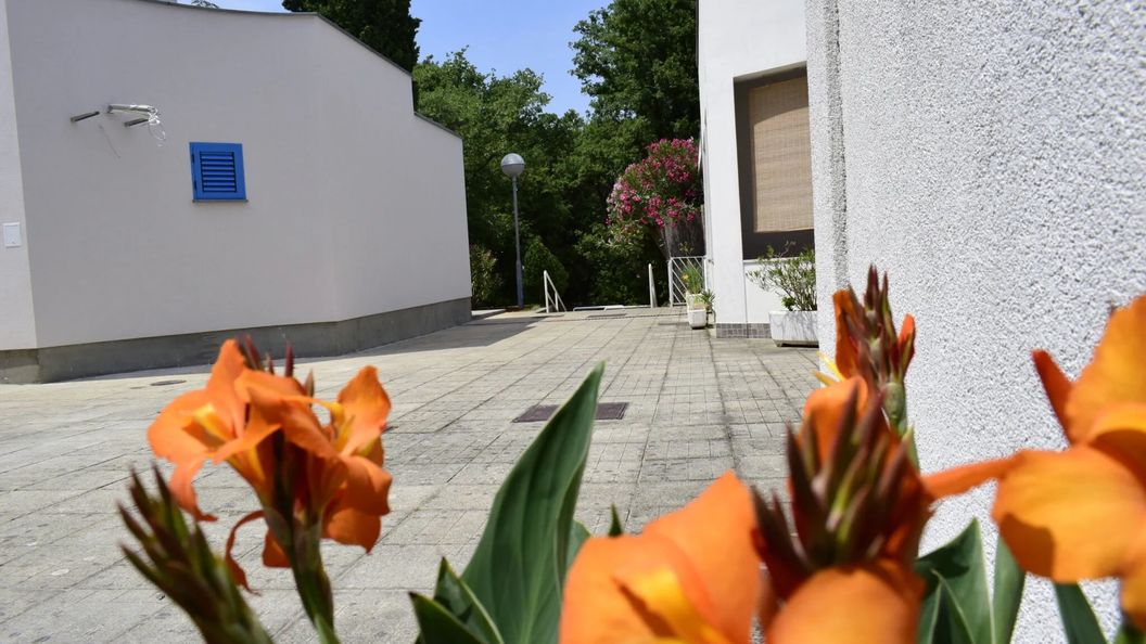 Apartments Lavin Malinska (1)