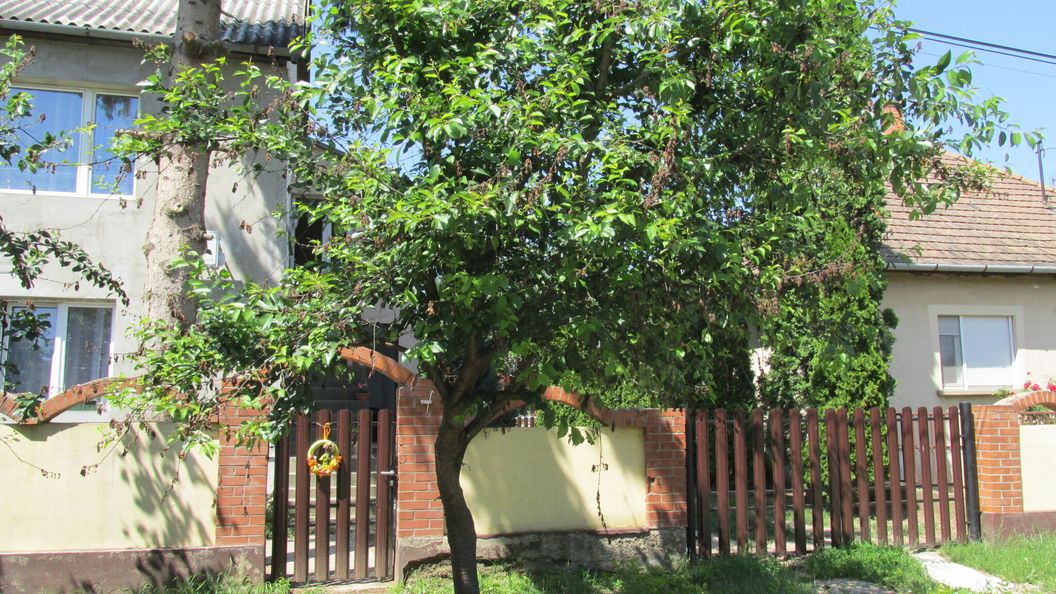 Mn Apartman Magyarnándor (1)