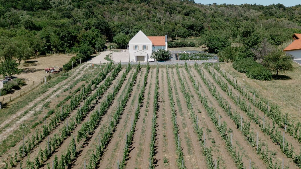 MCS Apartman Szentbékkálla (1)