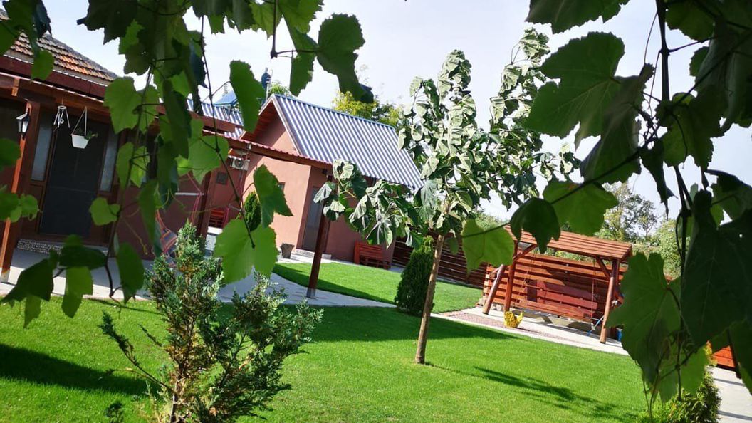 Cazare Nicoleta Vadu (1)