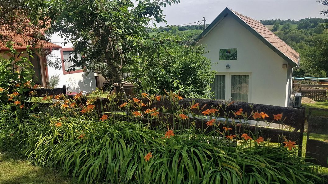 Élet Virága Vendégház Bálványos (1)