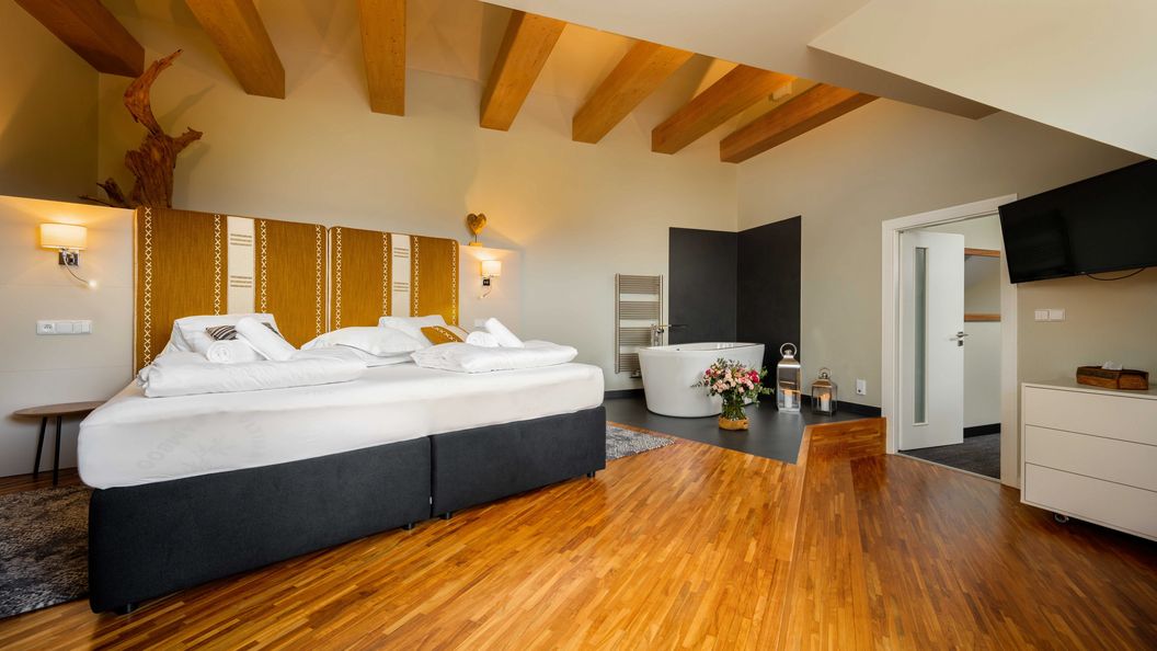 Hotel Premier Janov nad Nisou (1)