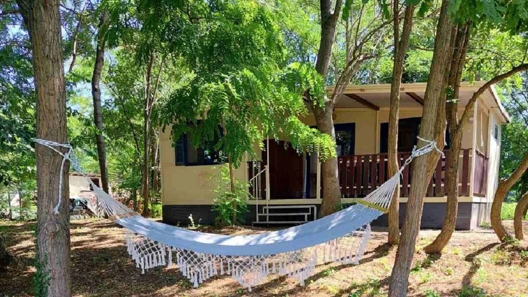 Bakonyi Pata Tanya Nagytevel (1)