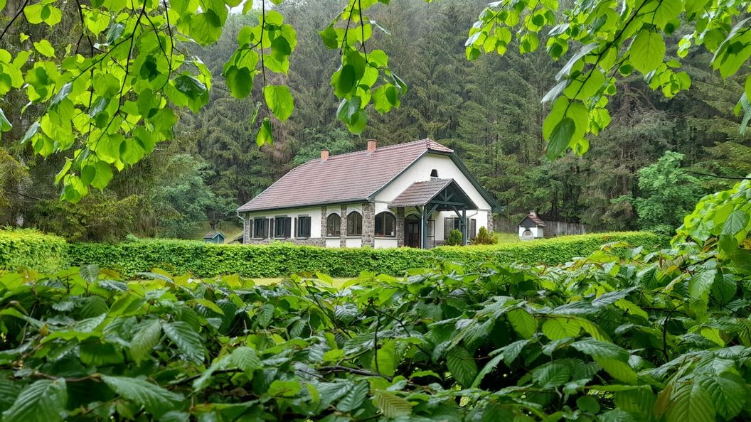 Szalajka Ház Váraszó (1)