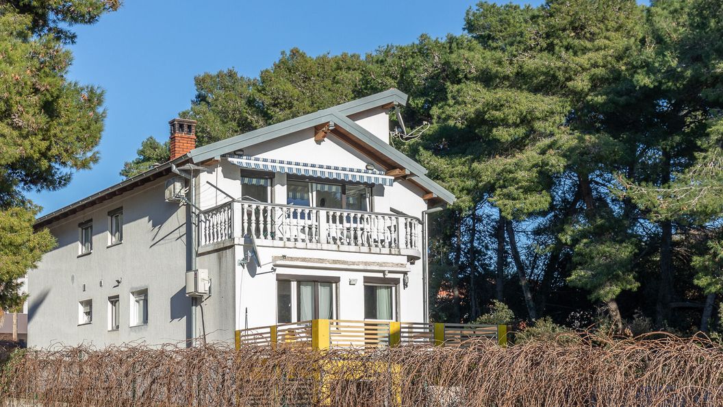 Apartment Sofia Bibinje (1)