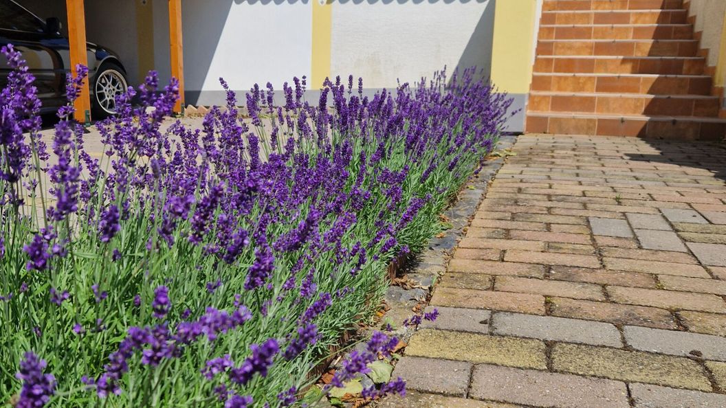 Kishegyi Vendégház Zalaegerszeg (1)