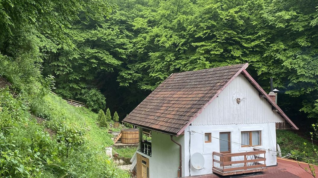 Casuta Din Padure Toplita Hunedoara (1)