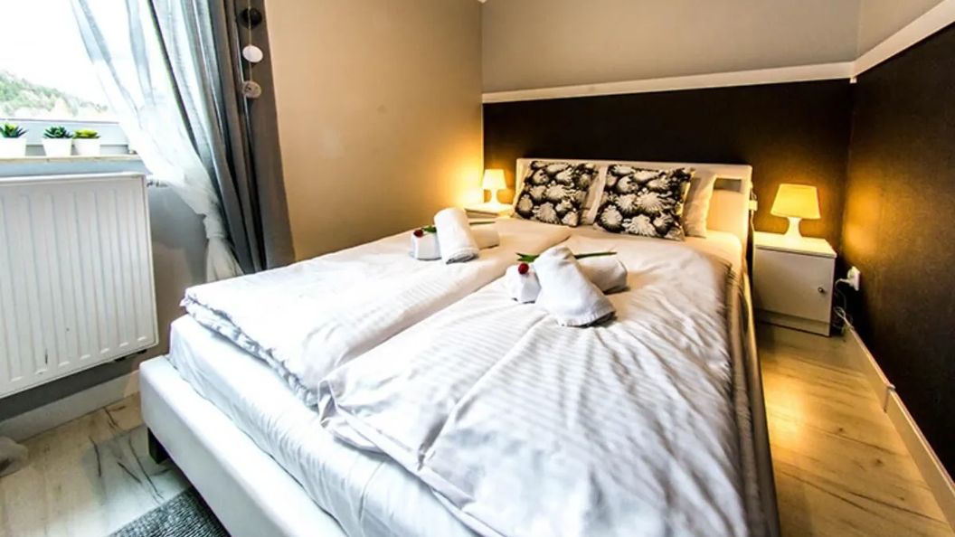 Apartamenty Izerskie Deluxe Świeradów-Zdrój (1)