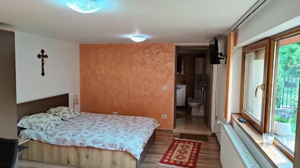 Casa Rustica Borșa (1)