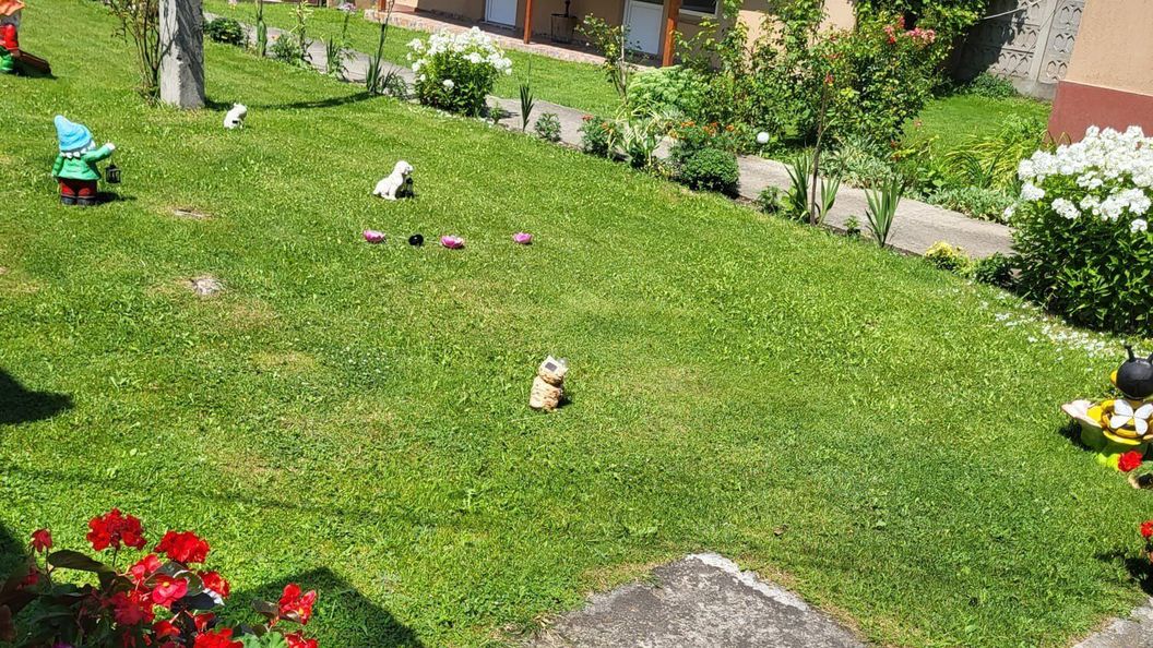 Pensiunea Izvorul Rece Hobița (1)