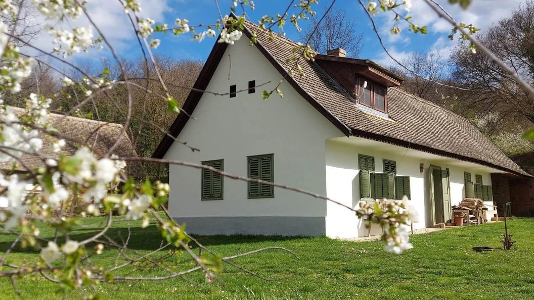 Vikli Vendégház Závod (1)