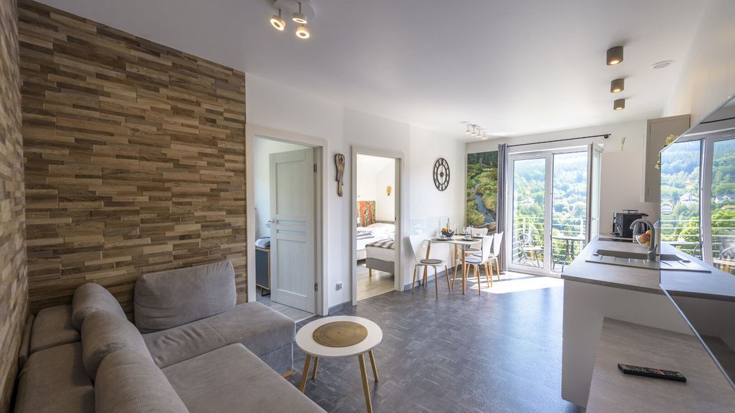 Apartament Logana z Sauną - 5D Apartamenty Świeradów-Zdrój (1)