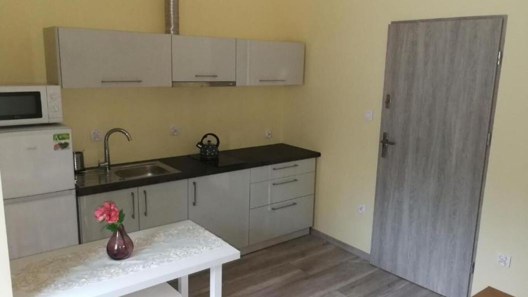Apartament Nad Strumykiem 1 Duszniki (1)
