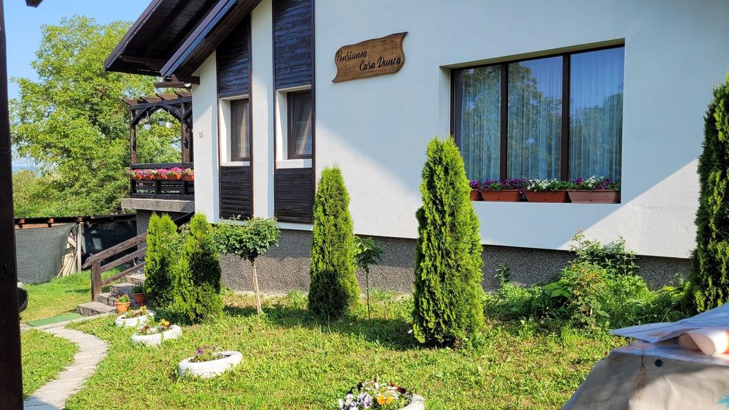 Pensiunea Casa Dunca Sighetu Marmației (1)