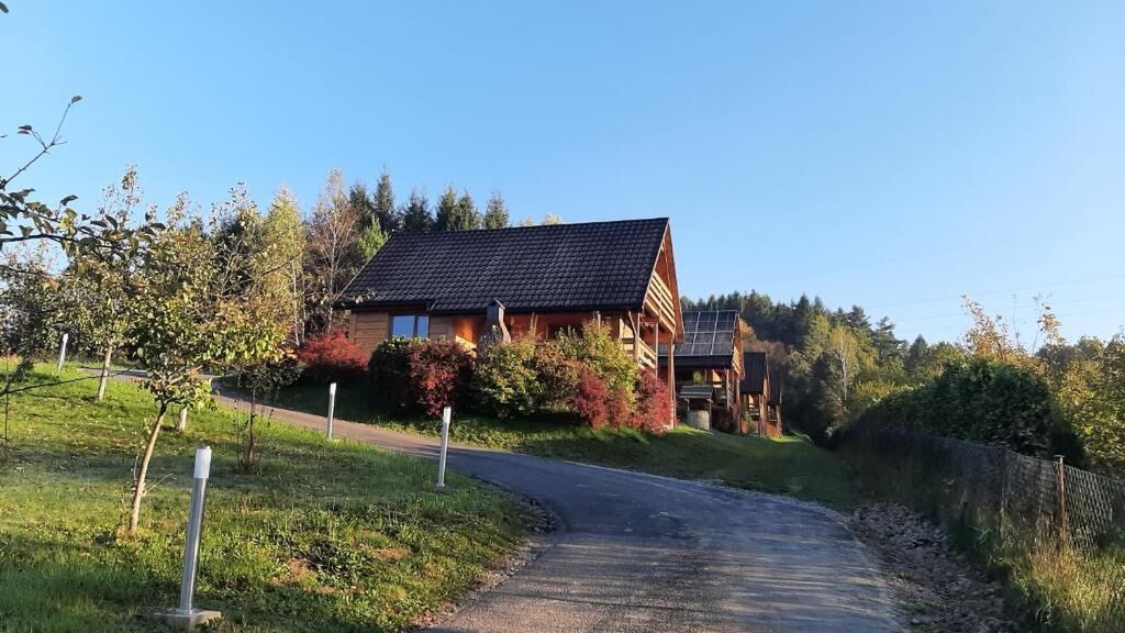 Domki Piszkówka Solina (1)