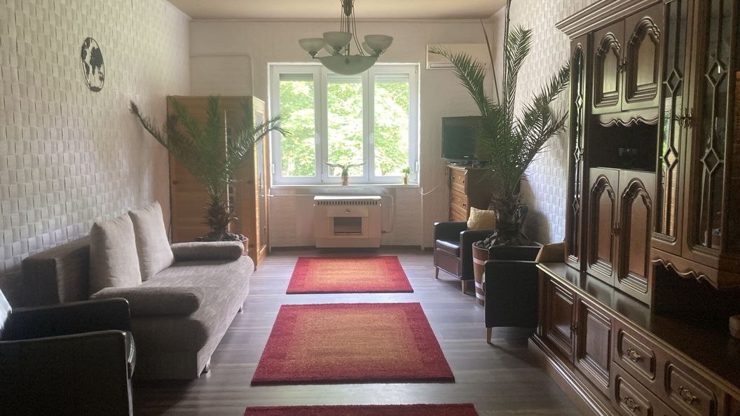 Pálmaház Budapest (1)