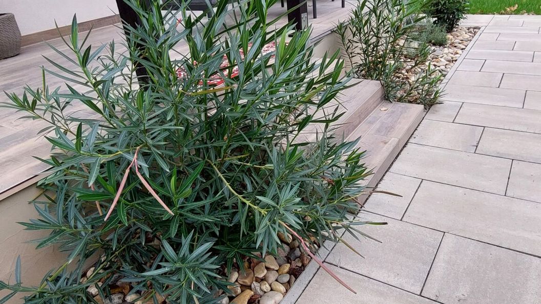 Vadaskert Apartman Gyula (1)