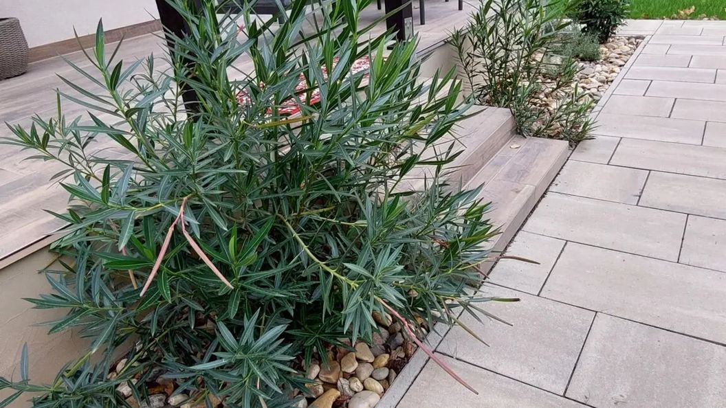 Vadaskert Apartman Gyula (1)