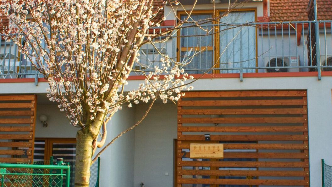 Apartmán Pálava Dolní Dunajovice (1)