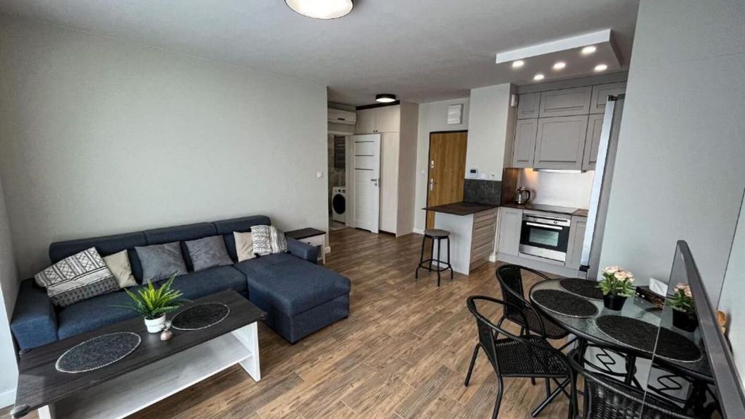 Apartament Lublin Centrum "Singapura cat" (1)